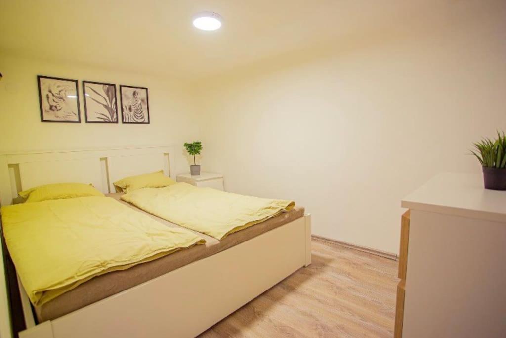 Cosy 2 Bedroom Flat In Akacfa St., Sol บูดาเปสต์ ภายนอก รูปภาพ